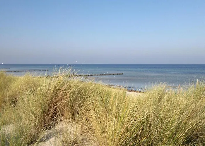 Insel- Auf